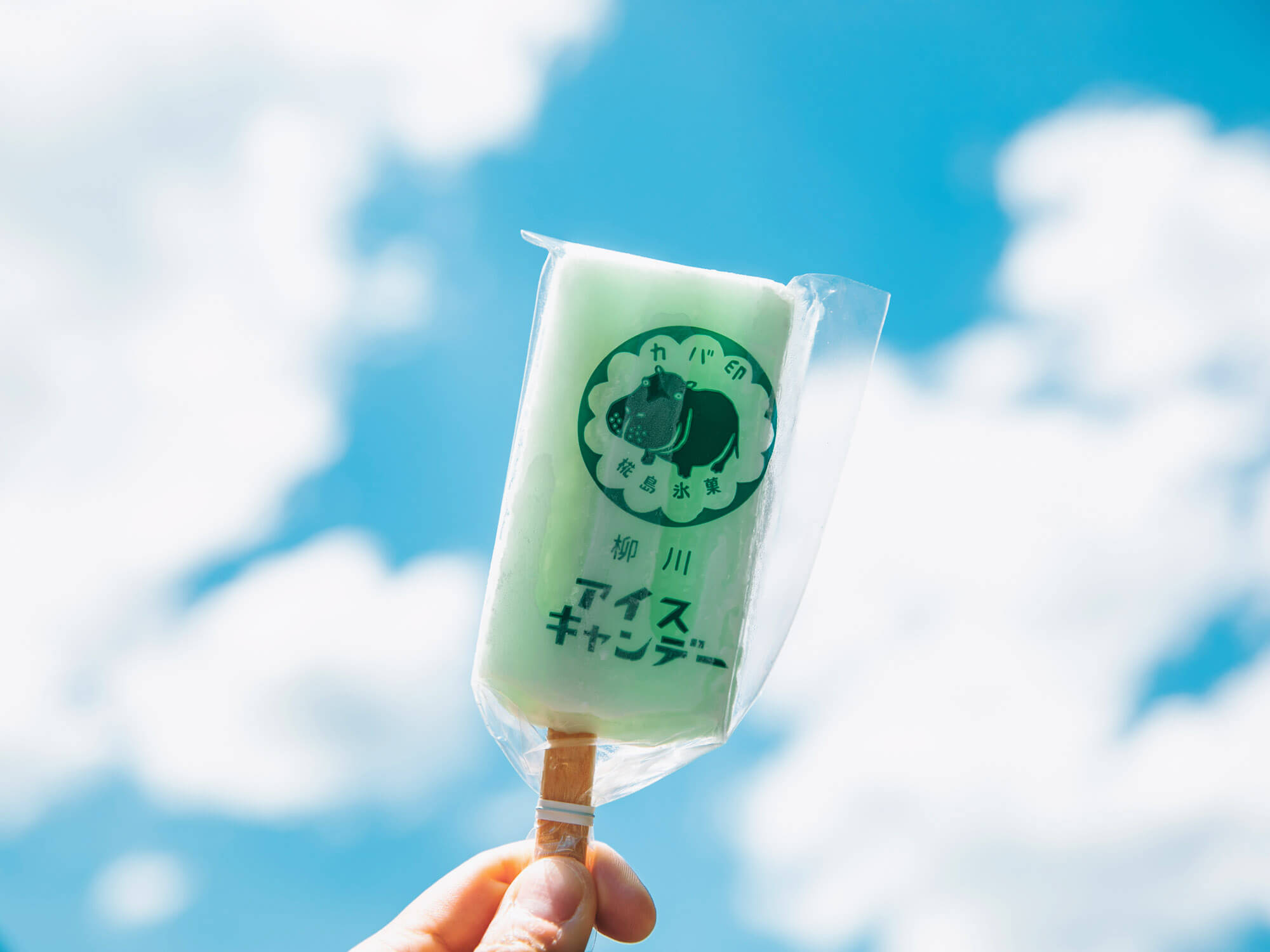 椛島氷菓のアイスキャンデー