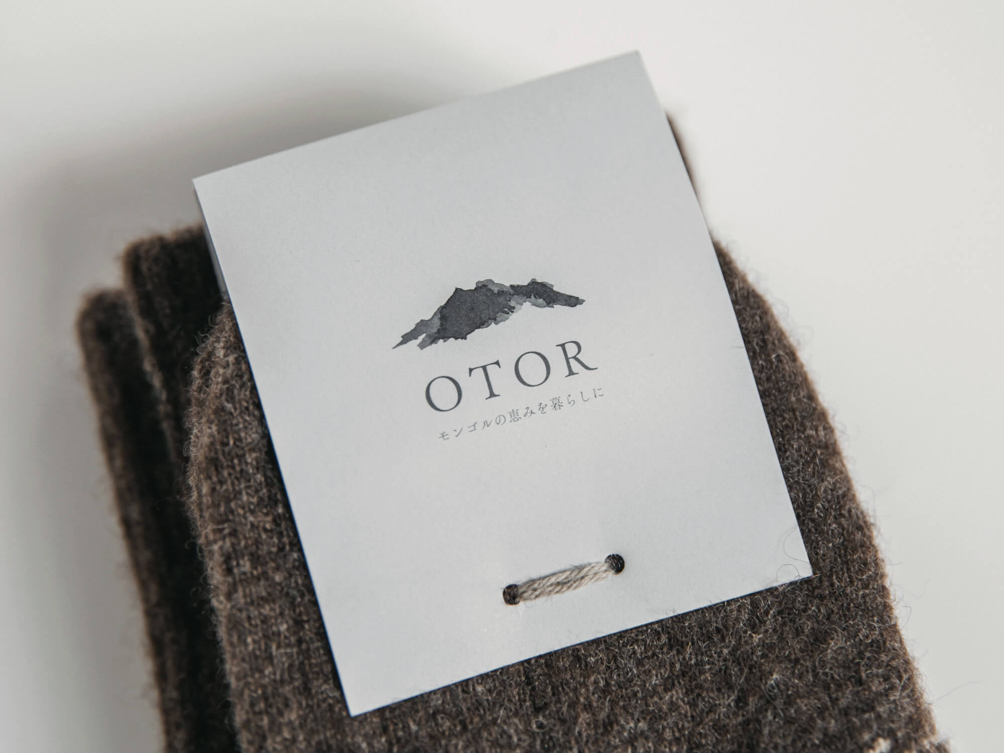 OTOR
