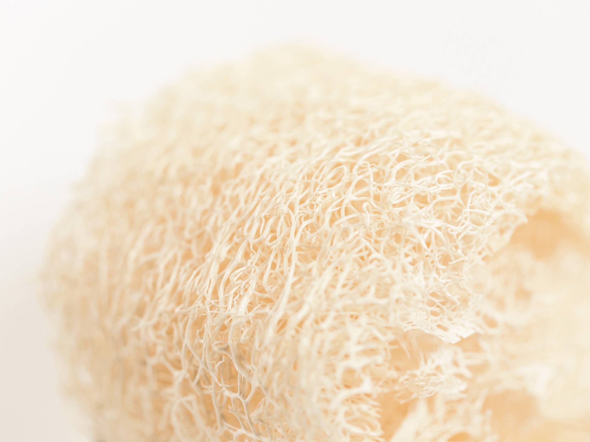 国産へちまのやさしいたわし/高田耕造商店